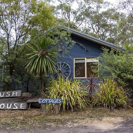 Lorne Bush House Cottages & Eco Retreats מראה חיצוני תמונה